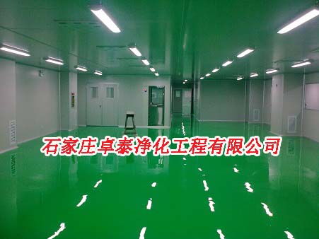 河北一站式潔凈凈化車間設(shè)計(jì)裝修 技術(shù)驅(qū)動(dòng)與視覺(jué)呈現(xiàn)