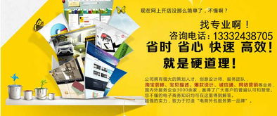 淘寶網(wǎng)店裝修與產(chǎn)品拍攝外包 沈陽地區(qū)動漫設計服務解析